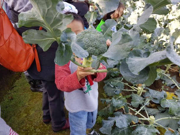 野菜収穫オリエンテーション