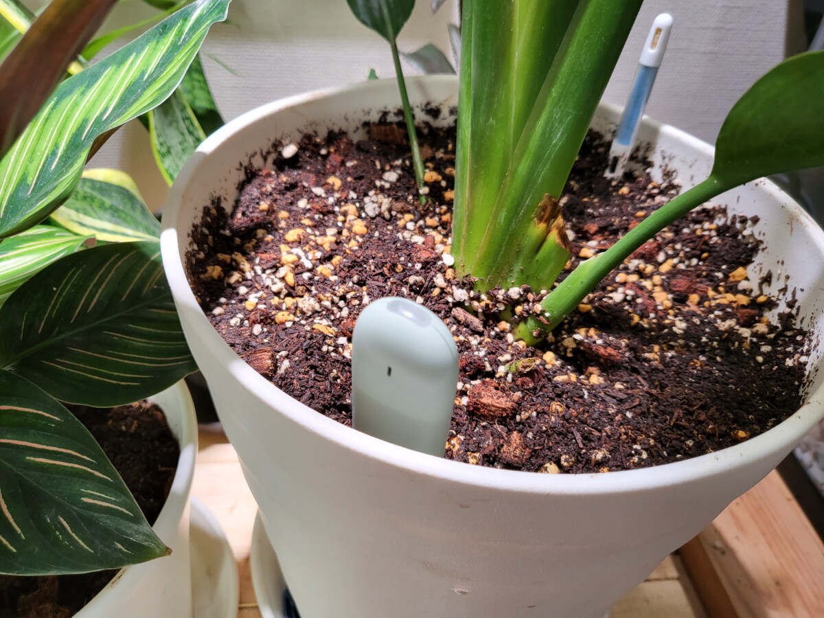 激安人気新品 土壌水分計 栄養素 Bluetoo 土壌測定計 園芸用品 照度測定 温度